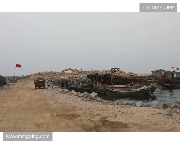 C017码头:不止是泊位,更是城市脉搏与时代浪潮的交响 C017码头:不止是泊位,更是城市脉搏与时代浪潮的交响