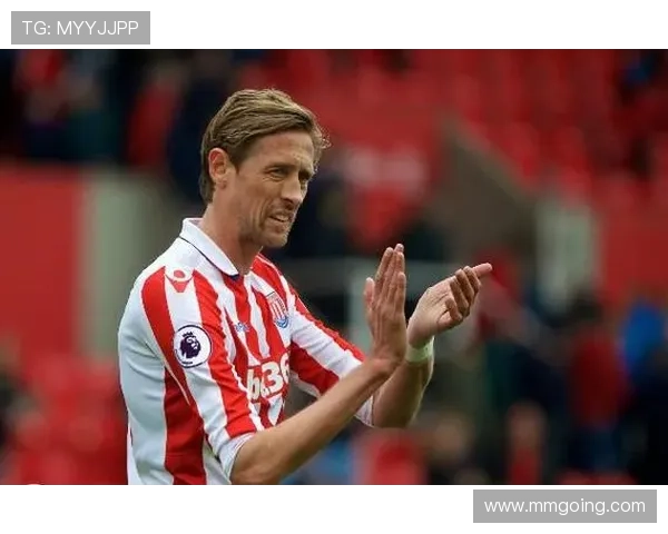 我是安迪卡罗尔：探寻“平淡”生活的诗意与力量